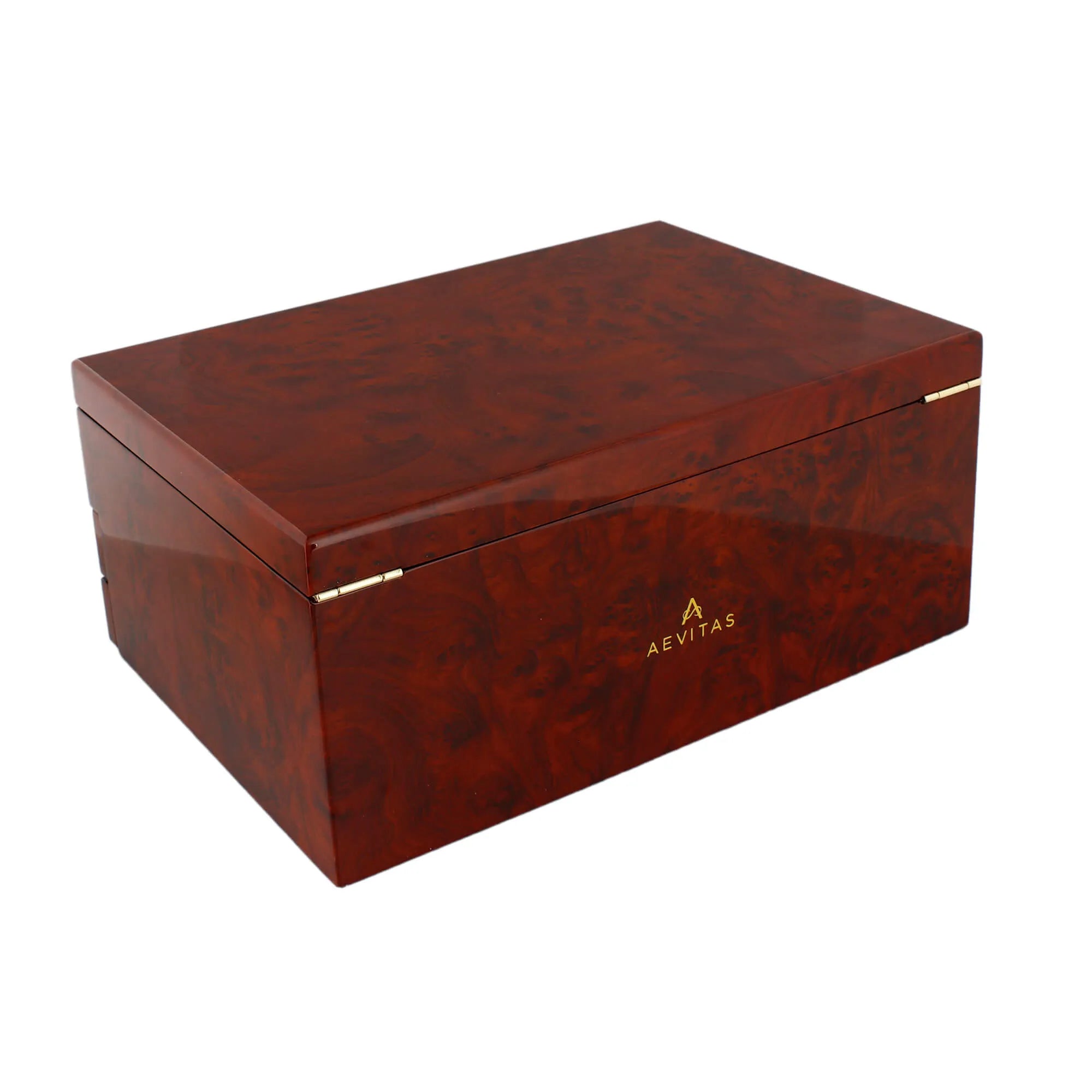 Aevitas extra-large camphor finish jewellery box with polished shine, gold-tone hardware, and logo.